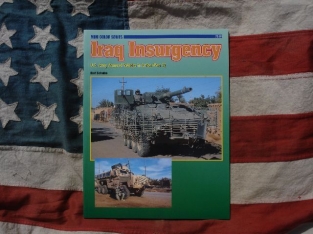 CO.7519  Iraq Insurgency 